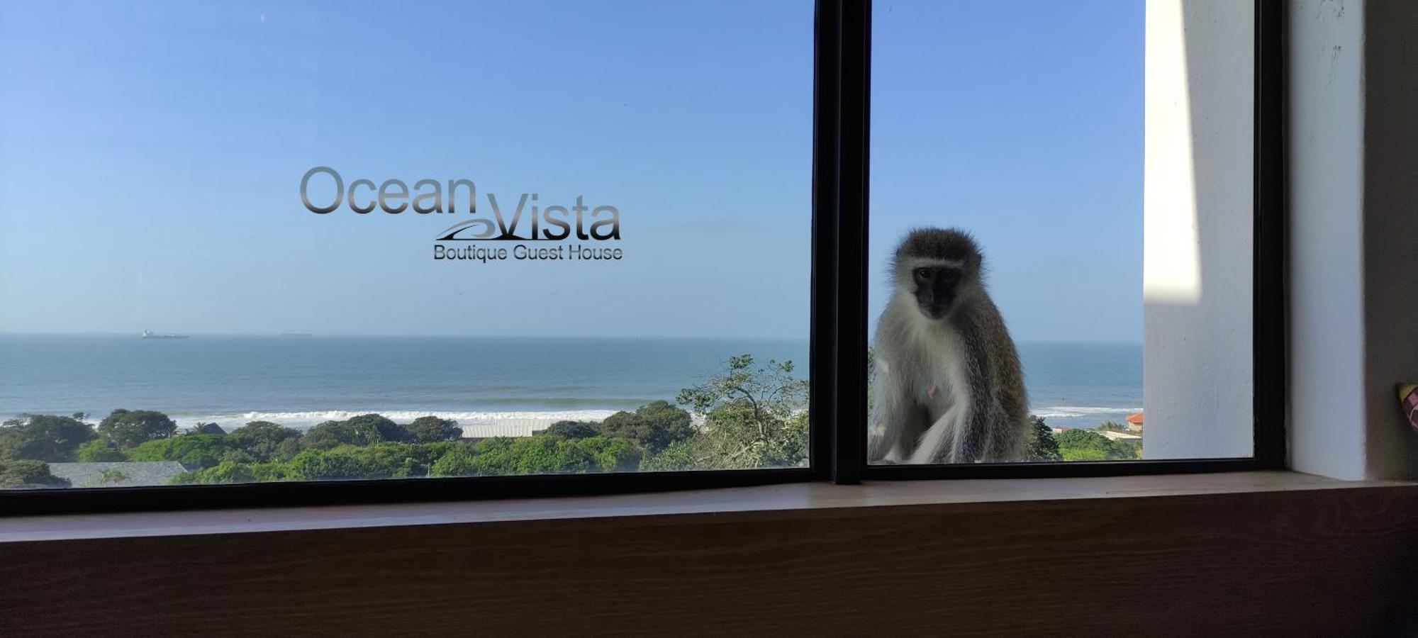 Ocean Vista Boutique Guest House Дурбан Экстерьер фото